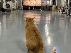 -蓝天射箭馆·专业射箭运动(诚丰广场店)