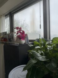 -斐尔国际皮肤管理中心