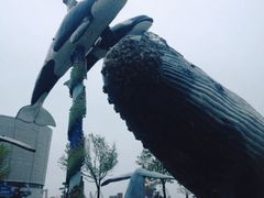 -海合安青岛极地海洋公园