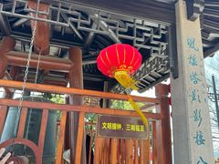 -苏州上方山国家森林公园