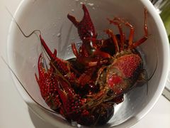 -星伦多自助料理·涮烤一体(江桥万达店)