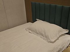-龙禧盛精品酒店(天津西站店)