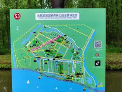 -合肥滨湖国家森林公园
