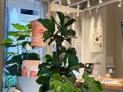 -迦南的早晨蛋糕甜品集合店