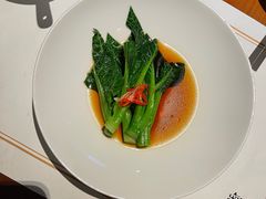 -觀芷隐轩