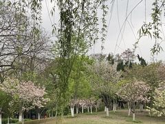 -堤角公园