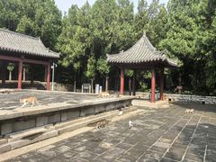 -四门塔风景区