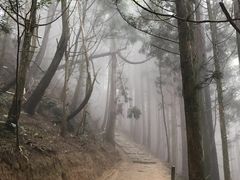 -井冈山风景名胜区-黄洋界