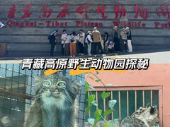 -青藏高原野生动物园