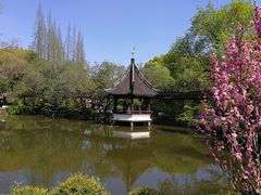 -上海醉白池公园