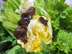 -蓉客成都火锅·招牌麻辣牛杂·特色香辣蹄花(凌水店)