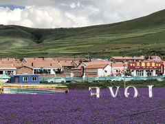 -瑞思英语·少儿英语启蒙(河西·梅江第六田园校区)