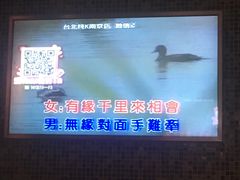 -乐界KTV(虹桥中心店)