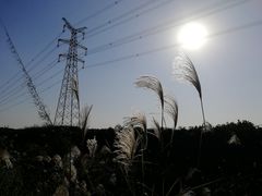 -梁鸿国家湿地公园