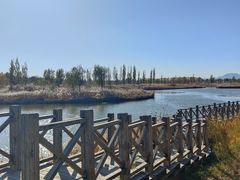 -野鸭湖国家湿地公园