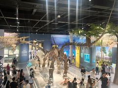 -国家自然博物馆