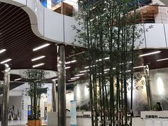 -中国地质大学图书馆