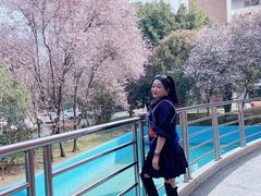 -四川大学(望江校区)
