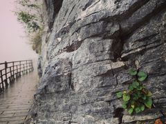 -鹿院坪生态旅游景区
