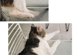 -UNI UNI(环亚凯瑟琳店)