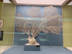 -中国湿地博物馆