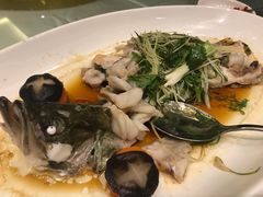 -国龙大酒店-中餐厅