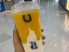 -春丽小马(济南恒隆广场店)