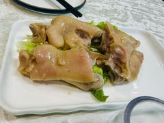 -丁老爷子苏香圆