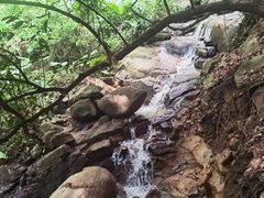 -火炉山森林公园