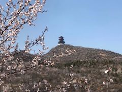 -定都峰