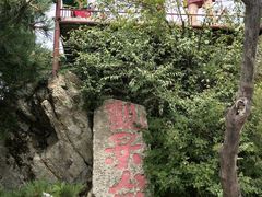 -王顺山国家森林公园