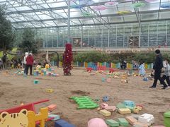 -西部长青自然儿童乐园