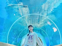 -香港海洋公园