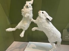 -国家自然博物馆