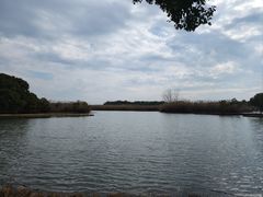 -沙家浜风景区