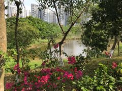 -聚龙山公园