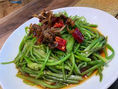 -菌自由丨野生菌火锅特色庭院餐厅(丽江古城店)