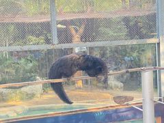 -清迈夜间动物园