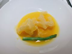 金汤玉井花胶-觀芷隐轩