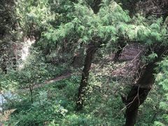 -金堂县云顶石城风景区