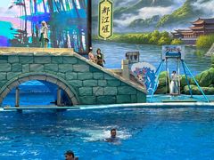 -海合安成都极地海洋公园