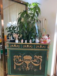 -苗方清颜专业祛痘连锁机构