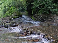 -西岭雪山大飞水景区