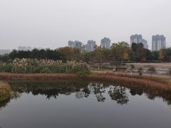 -眉山湿地公园(东坡区)