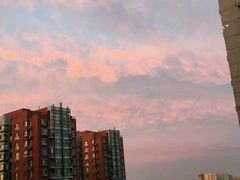 -搜秀影城