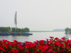 -白洋淀风景区