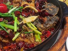 -老板恋上鱼(恒隆广场店)