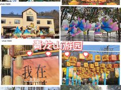 -青龙山国家森林公园