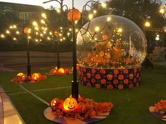 -郑州方特梦幻王国