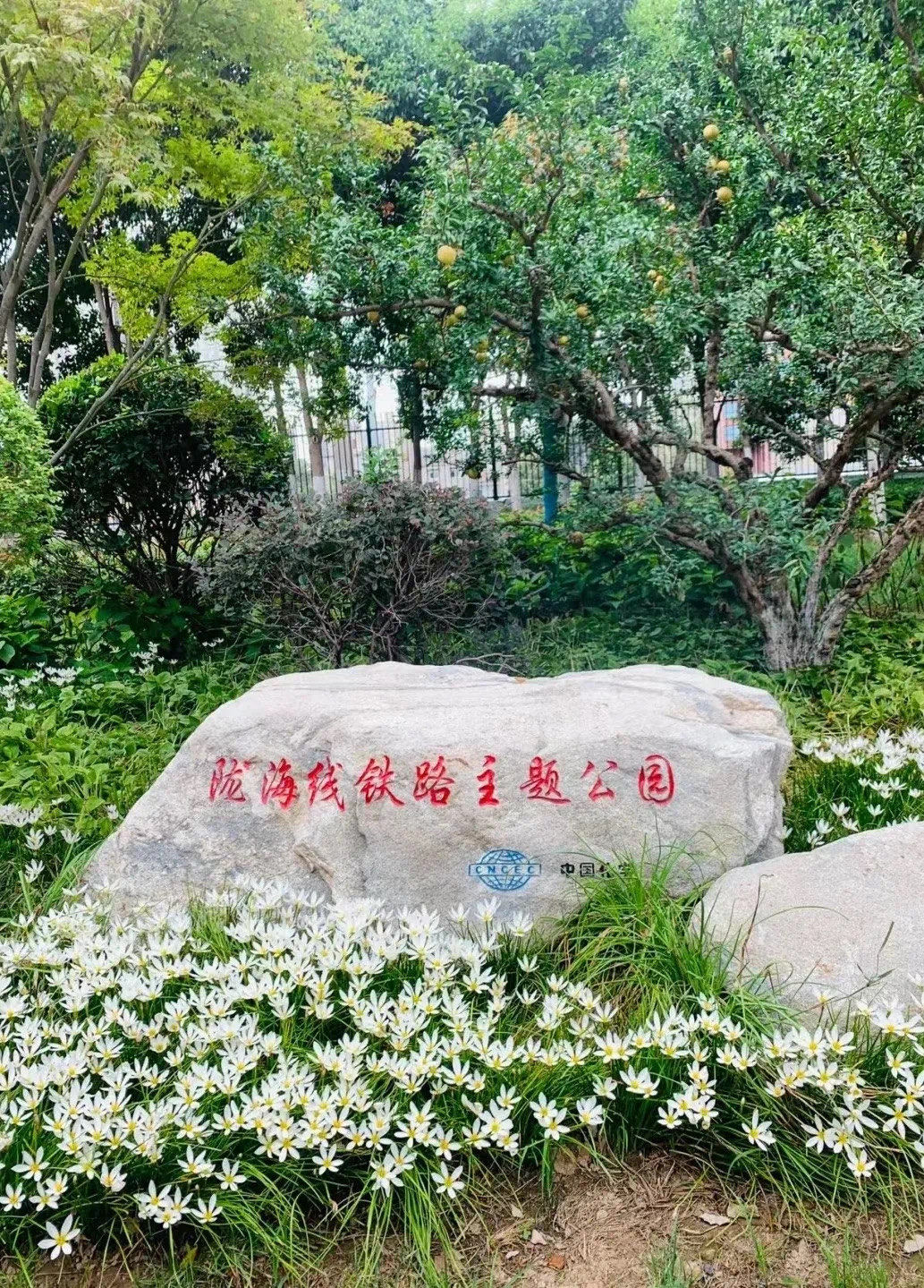 西安踏春之陇海铁路公园一日游